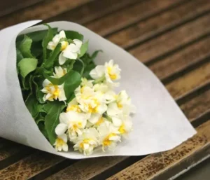 Apa Arti Bunga Melati dalam Pernikahan – Makna, Simbol, dan Praktiknya