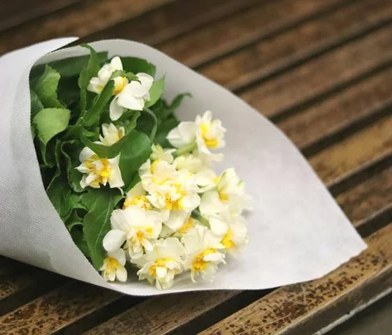 Apa Arti Bunga Melati dalam Pernikahan – Makna, Simbol, dan Praktiknya