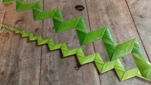 Apa Arti Simbol Daun Kelapa dalam Seni Ukir – Makna, Sejarah, dan Penggunaannya