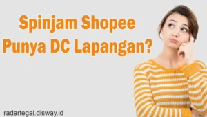 Apakah Spinjam Ada DC Lapangan? Penjelasan Lengkap dan Tips Praktis
