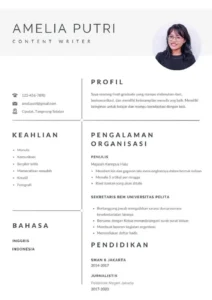 Contoh Biodata dengan Pengalaman Kerja – Panduan Lengkap