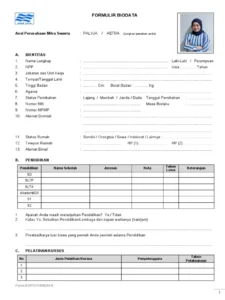 contoh biodata programmer: Struktur Dasar yang Wajib Diketahui