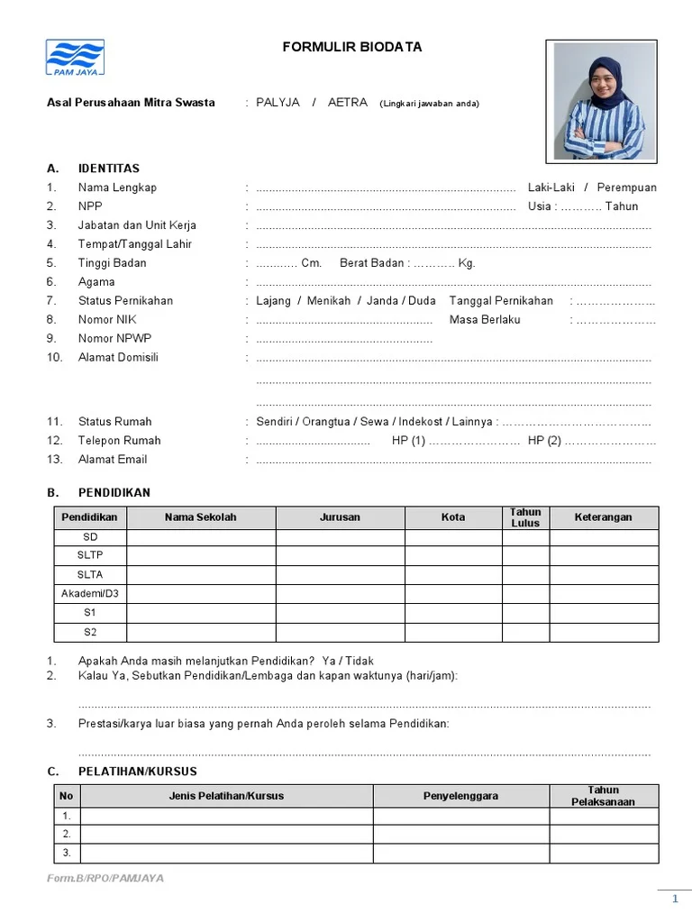 contoh biodata programmer: Struktur Dasar yang Wajib Diketahui