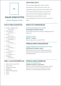 Contoh CV untuk Posisi Sales Executive – Panduan Praktis & Lengkap
